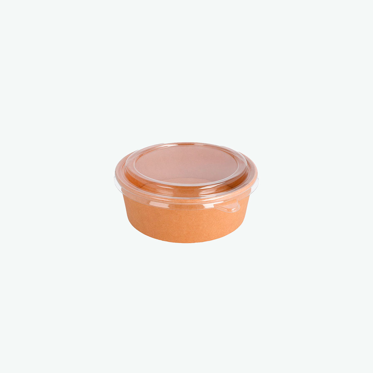 Bowl Kraft 500cc con Tapa